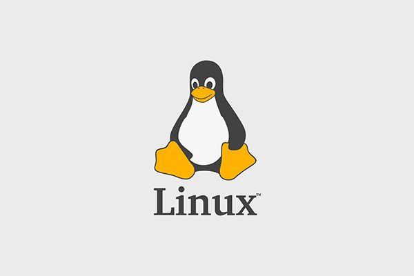 Cách kiểm tra dung lượng ổ cứng trên Linux bằng lệnh ‘df’ 1