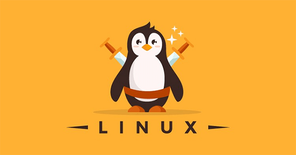 Tổng hợp 21 câu lệnh Linux mà ai cũng cần phải nhớ 