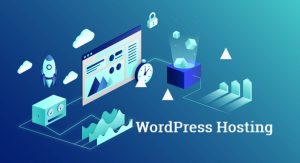 Những điều cần lưu ý khi chọn mua hosting cho WordPress (1)