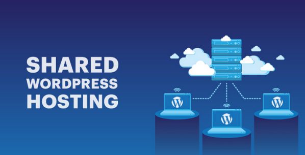 Phân loại WordPress Hosting, hướng dẫn chọn WP Hosting tốt nhất 1