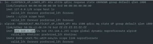 Cách kiểm tra địa chỉ IP (Public và Private) trên Linux nhanh nhất 2