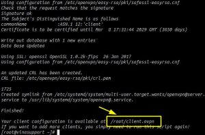Cài đặt OpenVPN Server trên HDH Linux sử dụng openvpn-install (2)