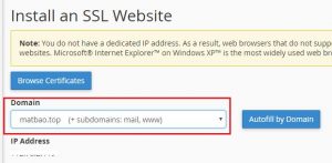 Hướng dẫn cách cài đặt chứng chỉ SSL trên cPanel (4)