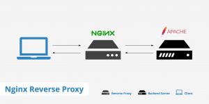 Hướng dẫn cách thiết lập Nginx Reverse Proxy đơn giản nhất