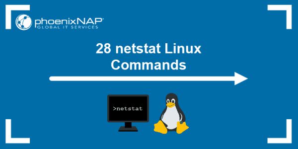 Tổng hợp các lệnh Netstat trong Linux để giám sát và quản lý mạng 