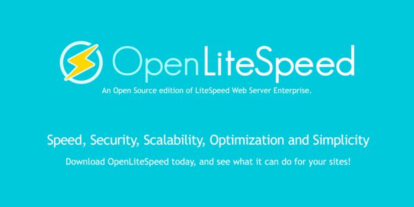 LiteSpeed Web Server là gì? Vì sao bạn nên sử dụng Litespeed?4