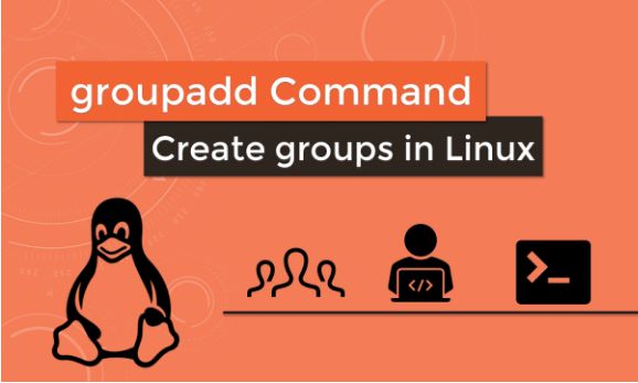 Thêm group trong Linux bằng lệnh groupadd như thế nào?