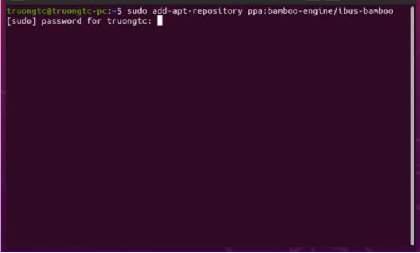 Cách cài bộ gõ tiếng Việt IBus-Bamboo trên Ubuntu 20.04 1