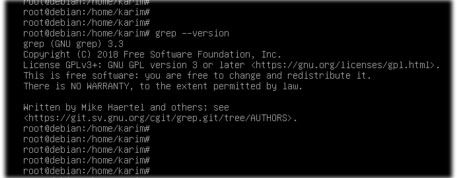 Hướng dẫn cách sử dụng lệnh Grep trên Debian 10 chi tiết 1