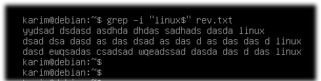 Hướng dẫn cách sử dụng lệnh Grep trên Debian 10 chi tiết 11