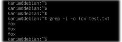 Hướng dẫn cách sử dụng lệnh Grep trên Debian 10 chi tiết 9