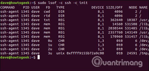 Sử dụng lệnh Isof trên Linux để xem các thiết bị và tiến trình 11