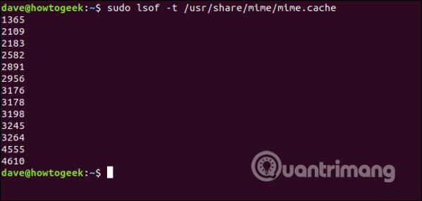 Sử dụng lệnh Isof trên Linux để xem các thiết bị và tiến trình 19