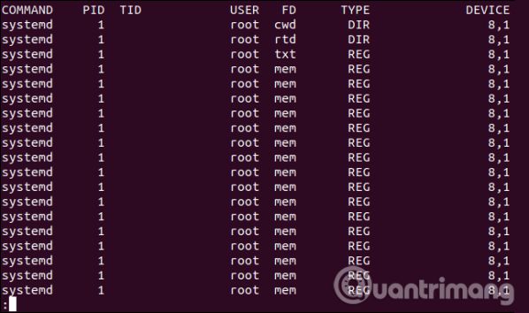 Sử dụng lệnh Isof trên Linux để xem các thiết bị và tiến trình 2