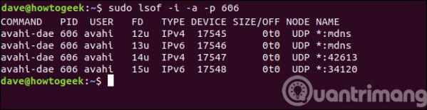 Sử dụng lệnh Isof trên Linux để xem các thiết bị và tiến trình 29