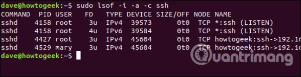 Sử dụng lệnh Isof trên Linux để xem các thiết bị và tiến trình 31