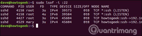 Sử dụng lệnh Isof trên Linux để xem các thiết bị và tiến trình 33