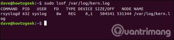 Sử dụng lệnh Isof trên Linux để xem các thiết bị và tiến trình 5
