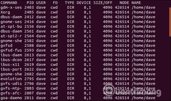 Sử dụng lệnh Isof trên Linux để xem các thiết bị và tiến trình 9