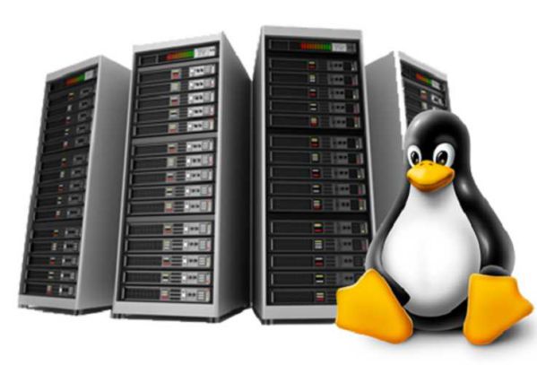 Tìm file, thư mục có dung lượng lớn nhất trên VPS Linux bằng?