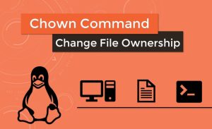Hướng dẫn cách sử dụng lệnh Chown trong Linux