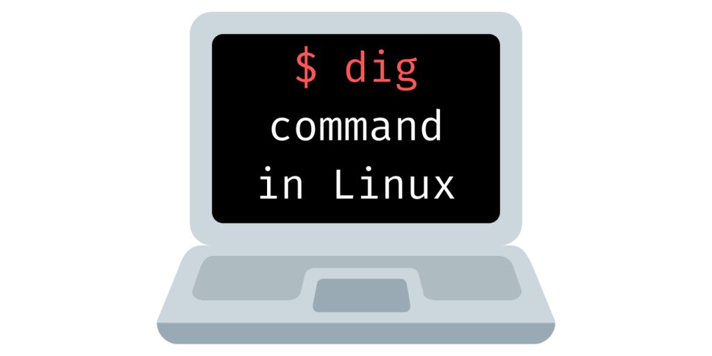 Hướng dẫn cách sử dụng lệnh Dig trong Linux