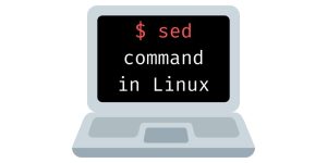 Hướng dẫn cách sử dụng lệnh SED trong Linux