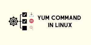 Yum trong Linux là gì? Cách sử dụng lệnh Yum trong Linux 