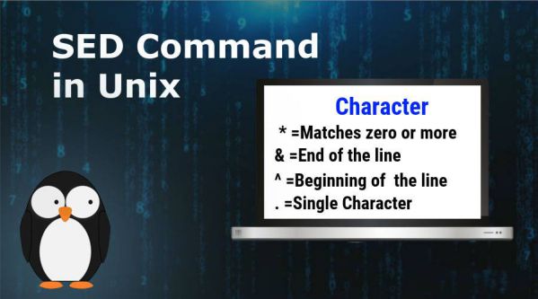 Lệnh SED trong Linux/Unix: Cấu trúc và cách sử dụng chi tiết